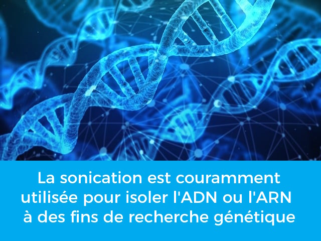 extraction des molécules par sonication